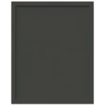 Graphite Black Paint (Designer Collection)